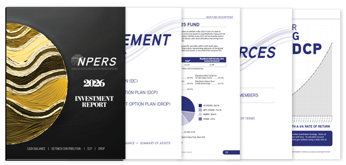 Thumbnail for Investment Report 2024